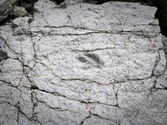impronte-dinosauro_AnnaGraziaPalmisano012-1024x680 